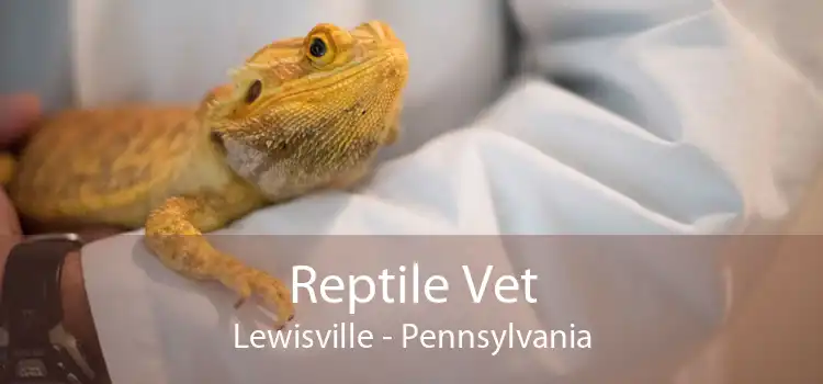 Reptile Vet Lewisville - Pennsylvania