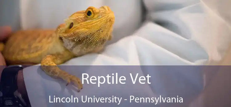 Reptile Vet Lincoln University - Pennsylvania