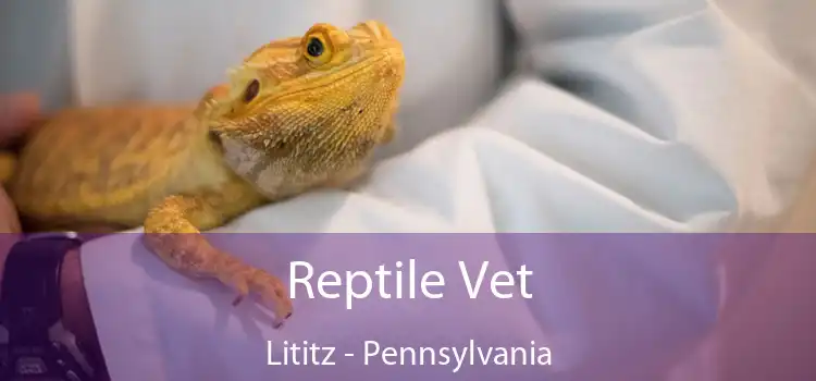 Reptile Vet Lititz - Pennsylvania