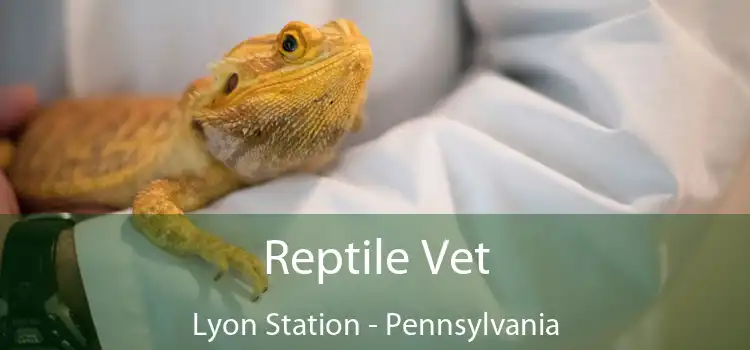 Reptile Vet Lyon Station - Pennsylvania