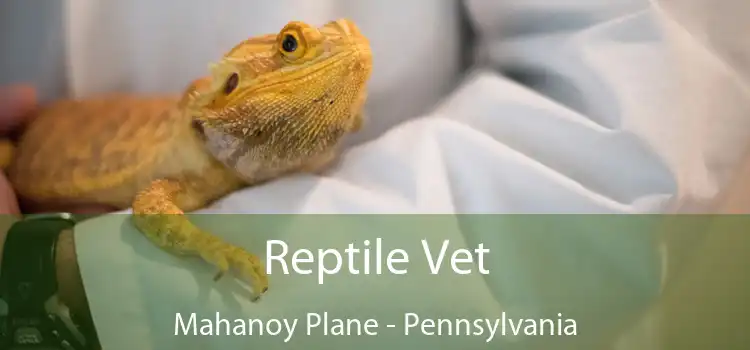 Reptile Vet Mahanoy Plane - Pennsylvania