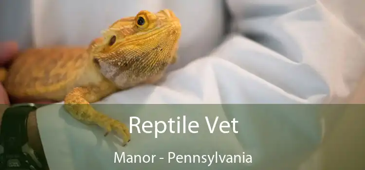 Reptile Vet Manor - Pennsylvania