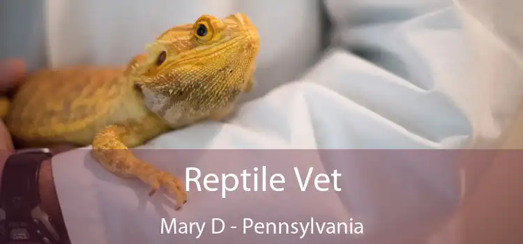 Reptile Vet Mary D - Pennsylvania