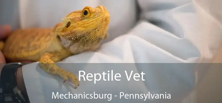 Reptile Vet Mechanicsburg - Pennsylvania