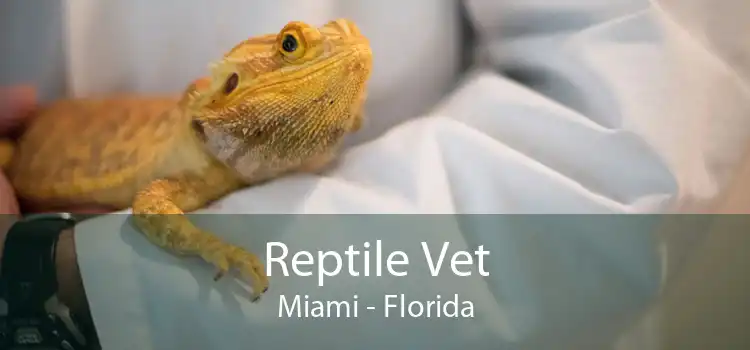 Reptile Vet Miami - Florida