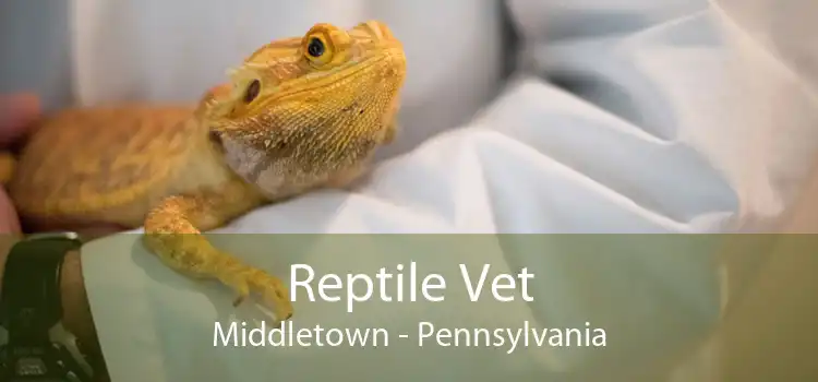 Reptile Vet Middletown - Pennsylvania