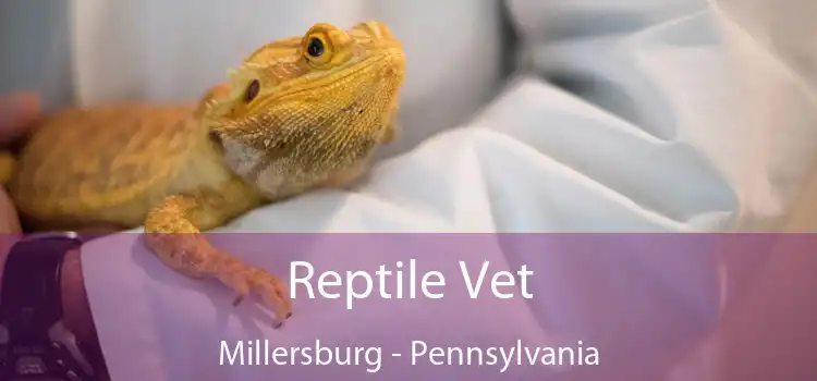 Reptile Vet Millersburg - Pennsylvania