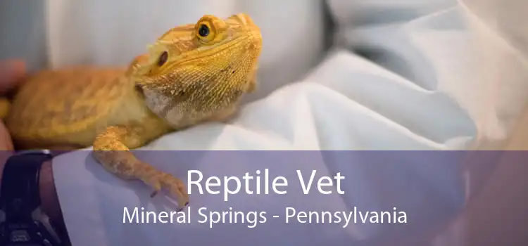 Reptile Vet Mineral Springs - Pennsylvania