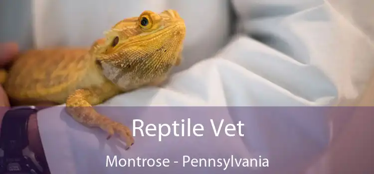 Reptile Vet Montrose - Pennsylvania