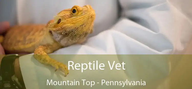 Reptile Vet Mountain Top - Pennsylvania