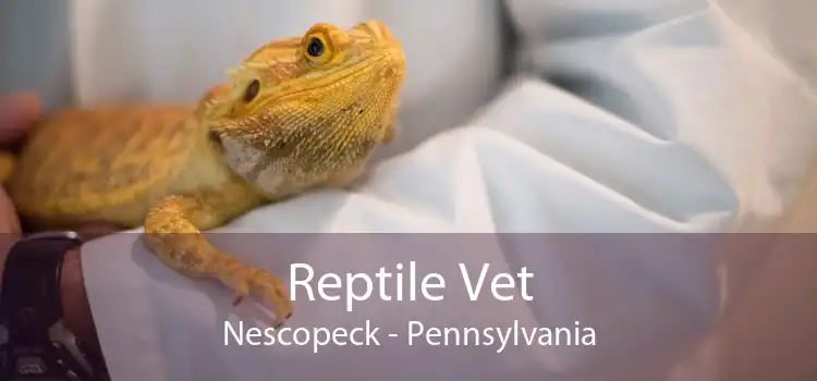 Reptile Vet Nescopeck - Pennsylvania