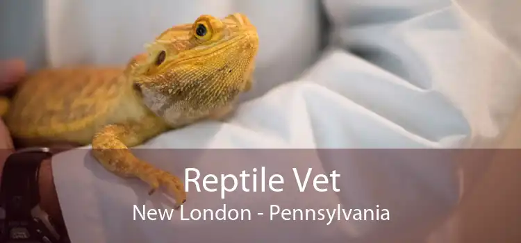 Reptile Vet New London - Pennsylvania