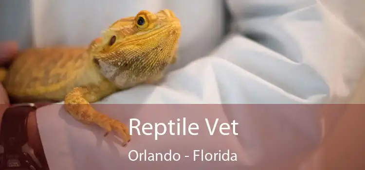 Reptile Vet Orlando - Florida