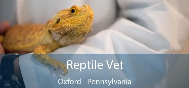 Reptile Vet Oxford - Pennsylvania