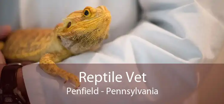 Reptile Vet Penfield - Pennsylvania