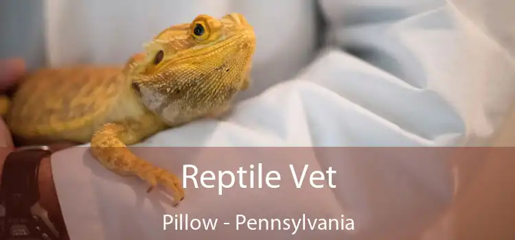 Reptile Vet Pillow - Pennsylvania