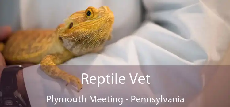 Reptile Vet Plymouth Meeting - Pennsylvania