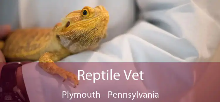 Reptile Vet Plymouth - Pennsylvania