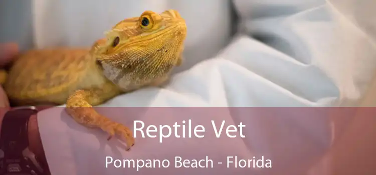 Reptile Vet Pompano Beach - Florida