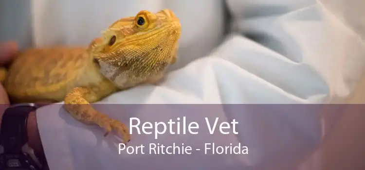 Reptile Vet Port Ritchie - Florida