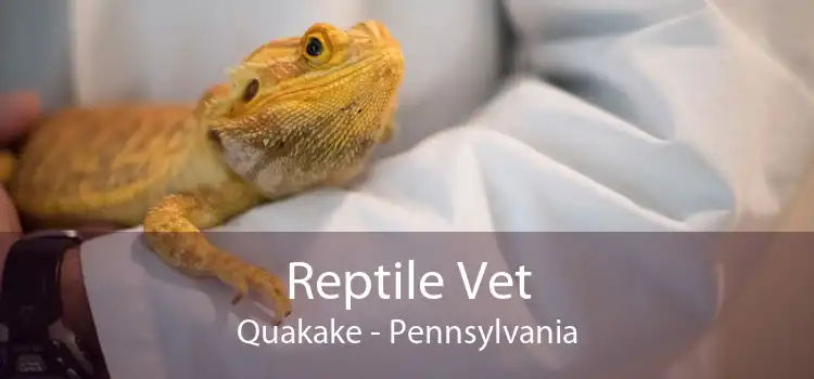 Reptile Vet Quakake - Pennsylvania