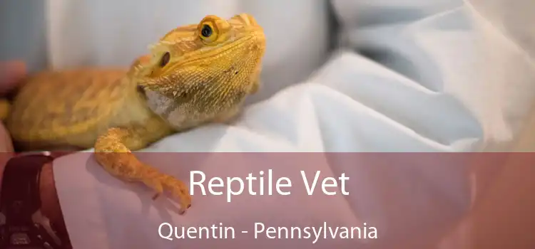 Reptile Vet Quentin - Pennsylvania