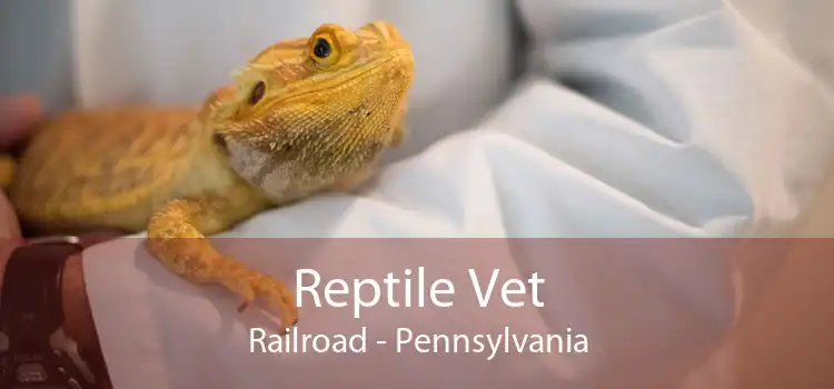 Reptile Vet Railroad - Pennsylvania