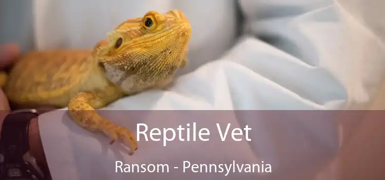 Reptile Vet Ransom - Pennsylvania