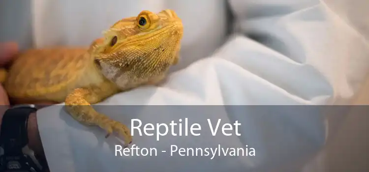 Reptile Vet Refton - Pennsylvania