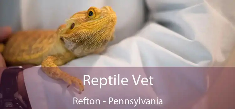 Reptile Vet Refton - Pennsylvania