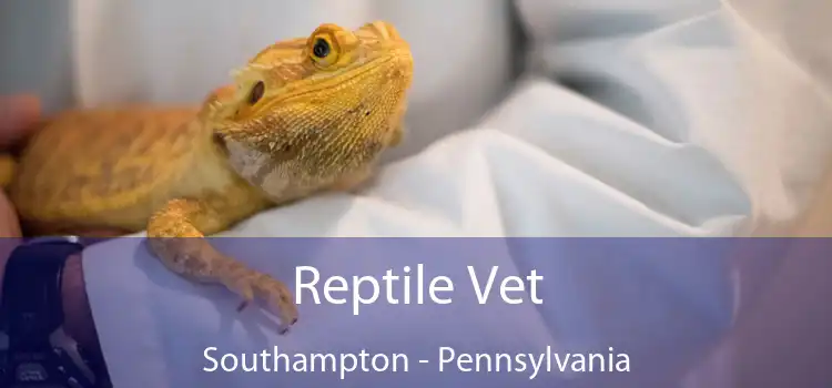 Reptile Vet Southampton - Pennsylvania