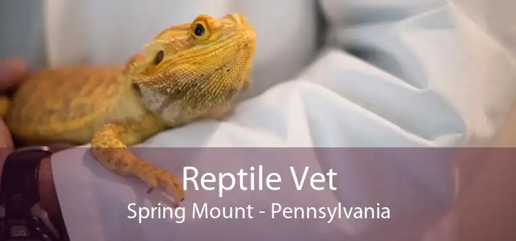 Reptile Vet Spring Mount - Pennsylvania