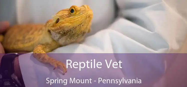 Reptile Vet Spring Mount - Pennsylvania