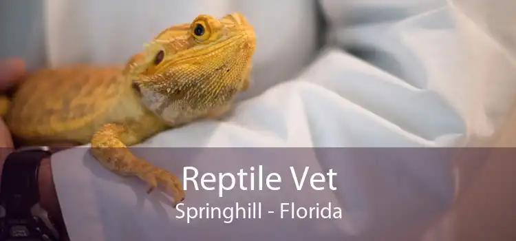 Reptile Vet Springhill - Florida