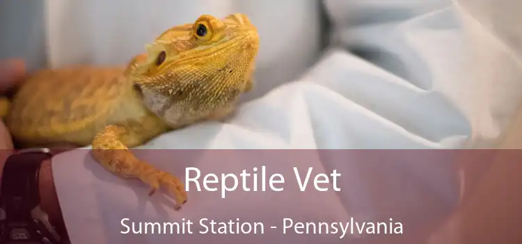 Reptile Vet Summit Station - Pennsylvania