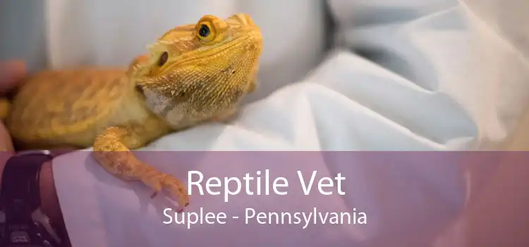 Reptile Vet Suplee - Pennsylvania