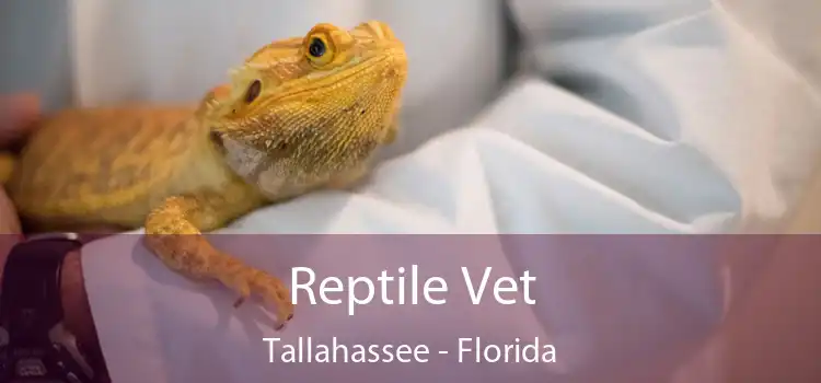 Reptile Vet Tallahassee - Florida