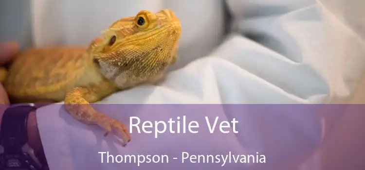 Reptile Vet Thompson - Pennsylvania