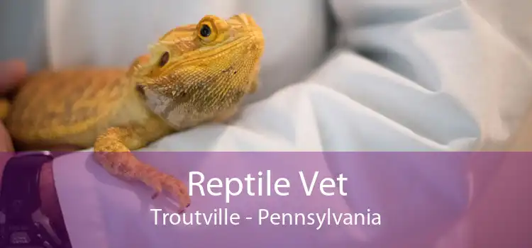 Reptile Vet Troutville - Pennsylvania