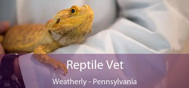 Reptile Vet Weatherly - Pennsylvania