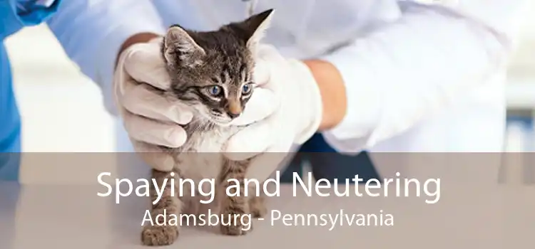 Spaying and Neutering Adamsburg - Pennsylvania