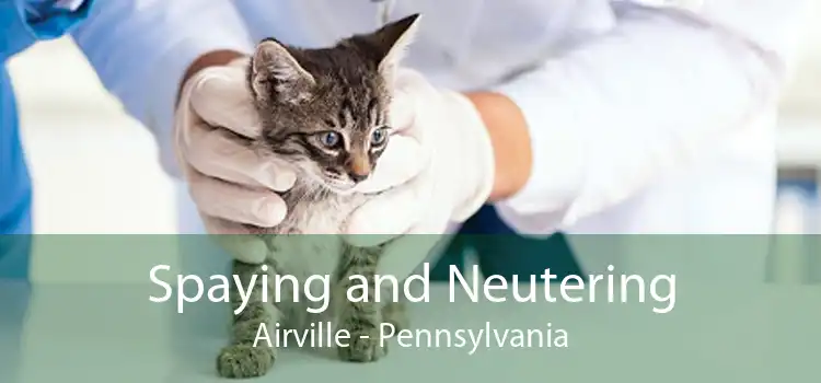 Spaying and Neutering Airville - Pennsylvania
