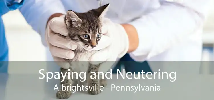 Spaying and Neutering Albrightsville - Pennsylvania