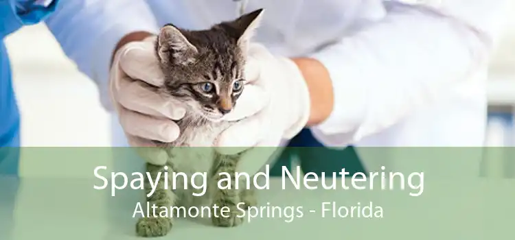 Spaying and Neutering Altamonte Springs - Florida