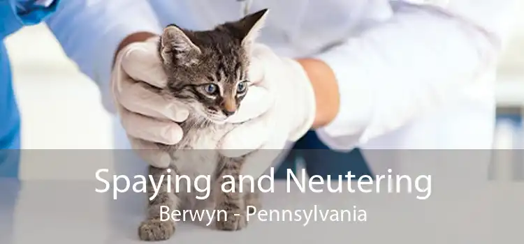 Spaying and Neutering Berwyn - Pennsylvania