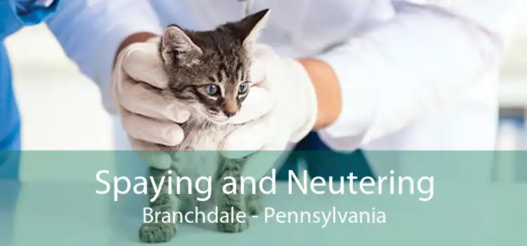 Spaying and Neutering Branchdale - Pennsylvania