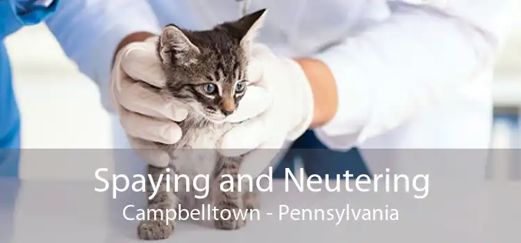 Spaying and Neutering Campbelltown - Pennsylvania