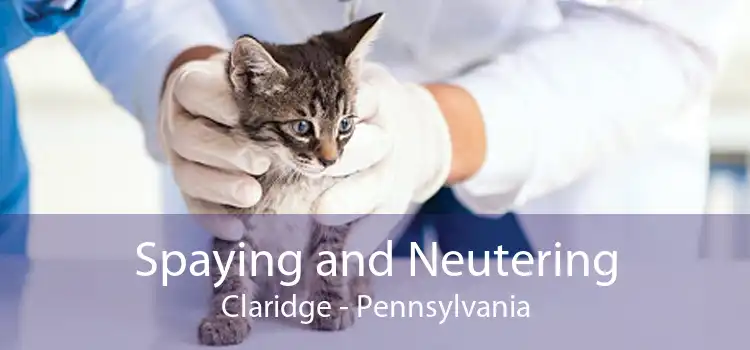 Spaying and Neutering Claridge - Pennsylvania