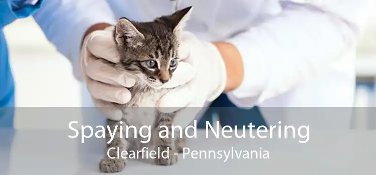 Spaying and Neutering Clearfield - Pennsylvania