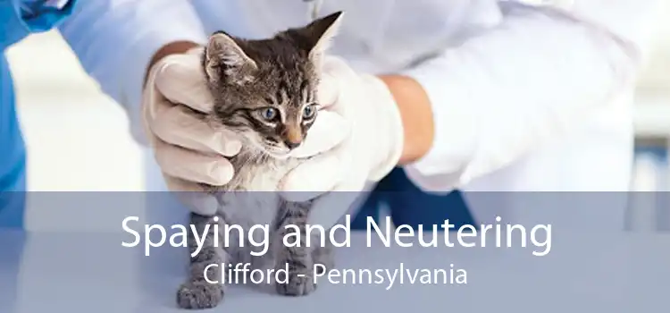 Spaying and Neutering Clifford - Pennsylvania